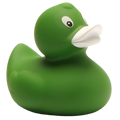 Klassieke groene eend