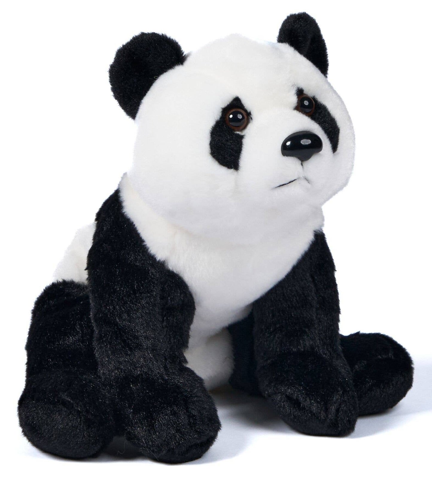 Panda Panda Sitting
