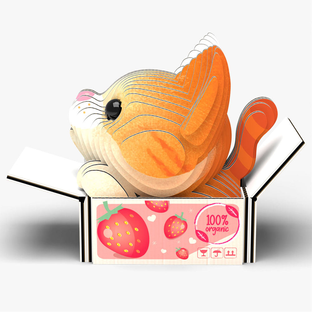 087 Katze Pumpkin