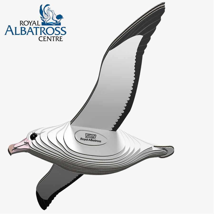 Royal albatross