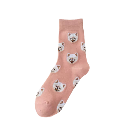 Pomeranian socks