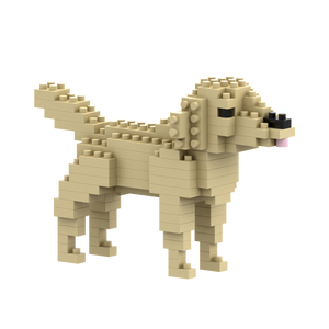 BRIXIES Golden Retriever