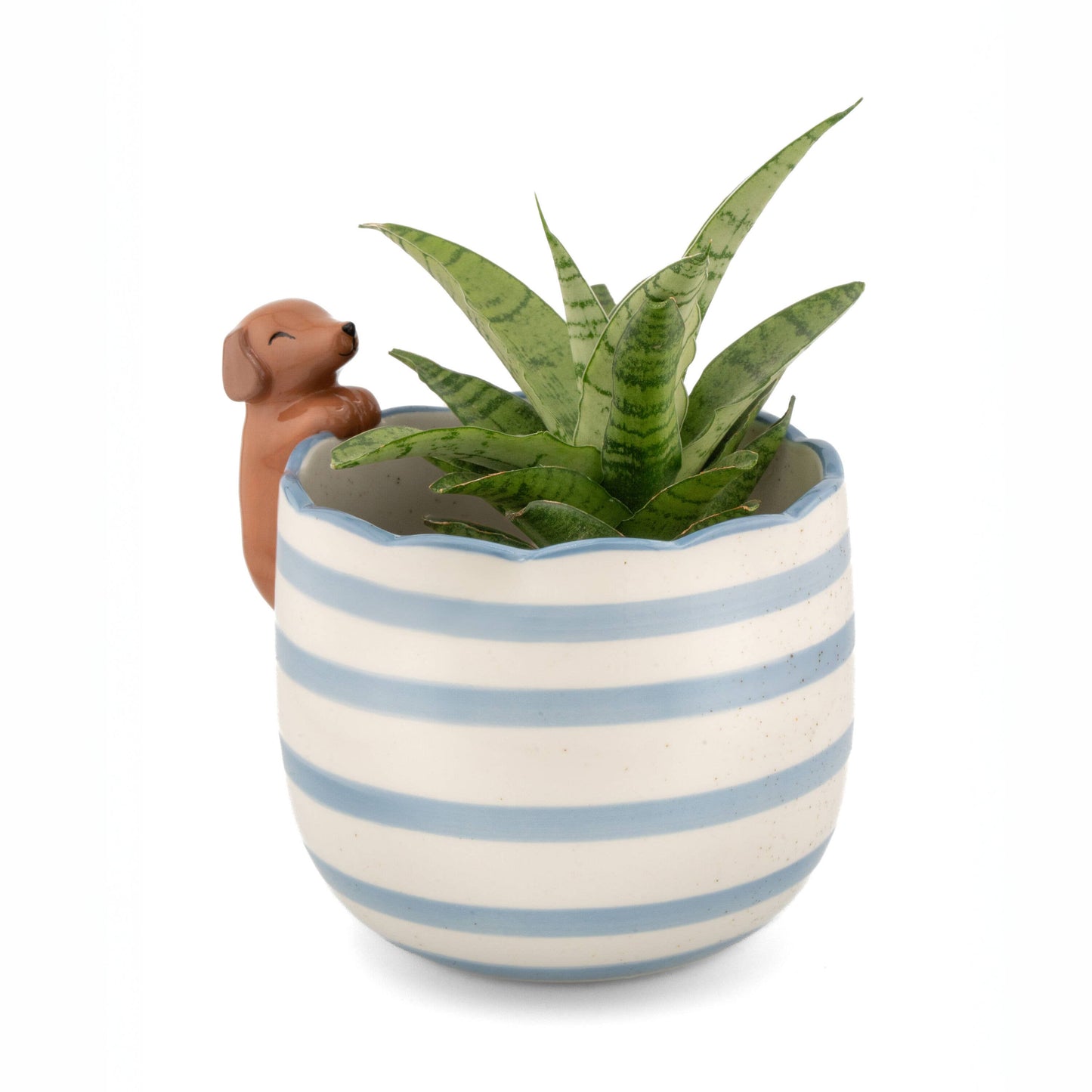 Jardinière Teckel Espiègle