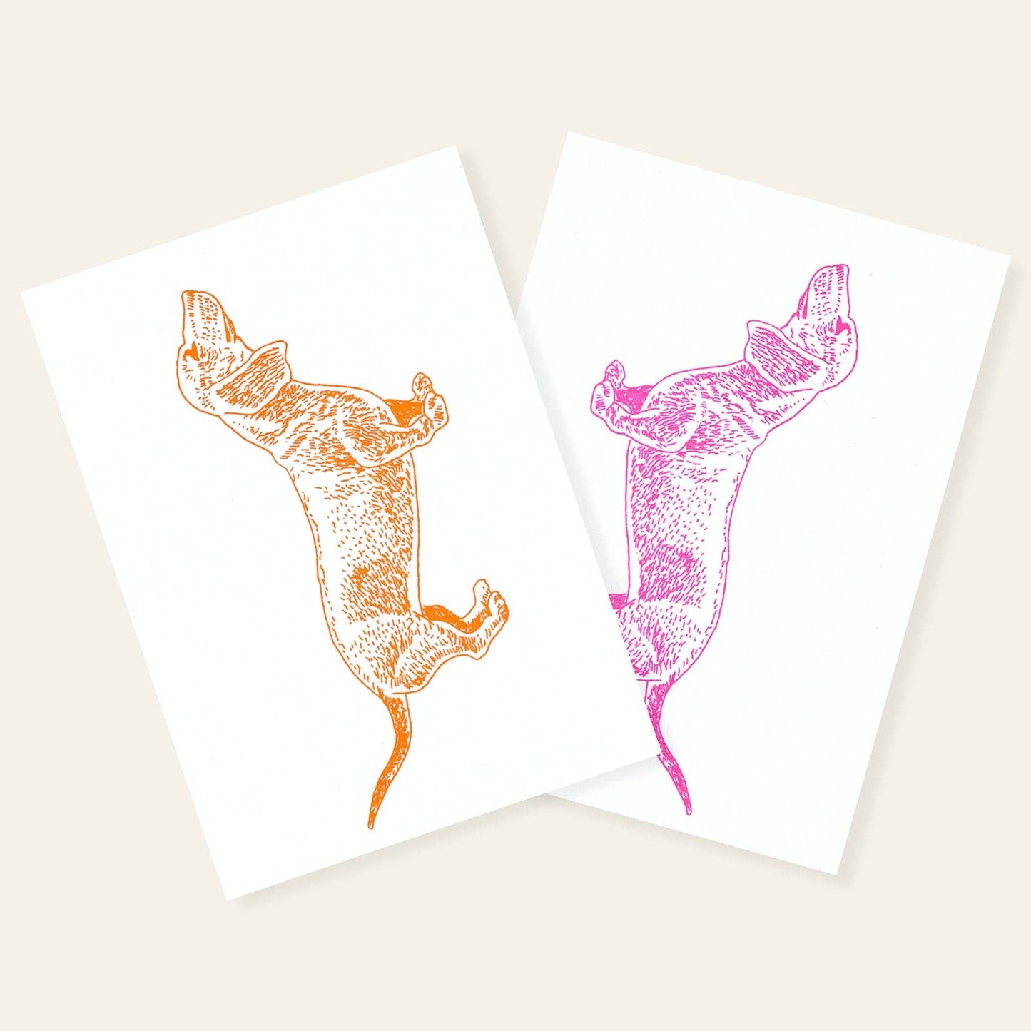 Neonroze teckel ansichtkaart