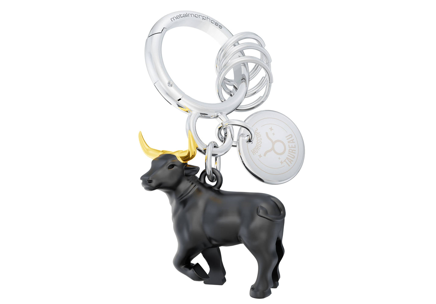 Sleutelhanger met sterrenbeeld