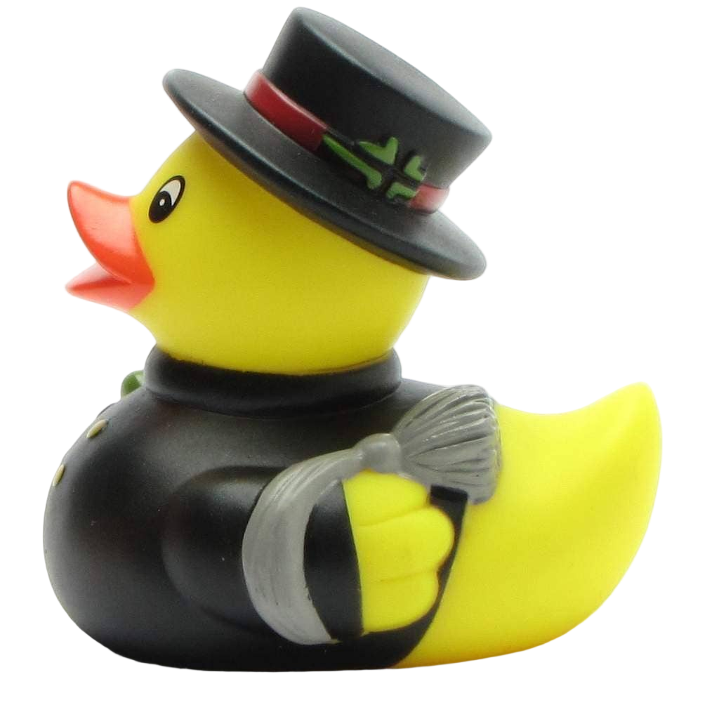 Canard Ramoneur