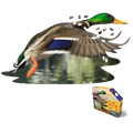 Puzzle I Am - Canard Colvert