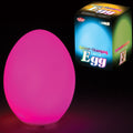 Lumez Œuf Lumineux à Couleurs Changeantes