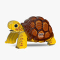 104 Landschildpad