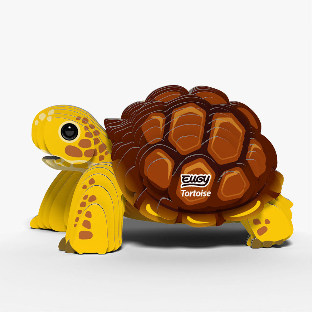 104 Landschildpad