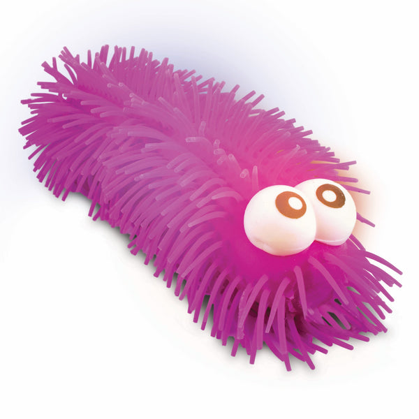 Insectes aux yeux ronds et clignotants