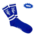 Chaussettes FC Porto « Champions 2025/2026 » – Bleu