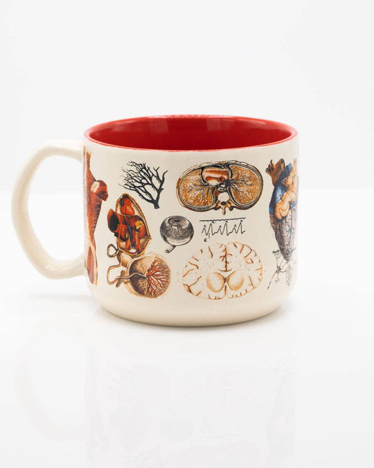 Anatomie Mug vasculaire (430 ml) – produit scientifique Cognitive Surplus EU, vue 2