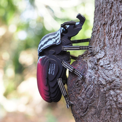 111 Goliath Beetle