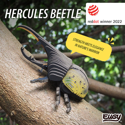 112 Hercules Beetle