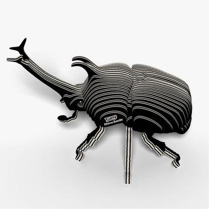 113 Rhino Beetle