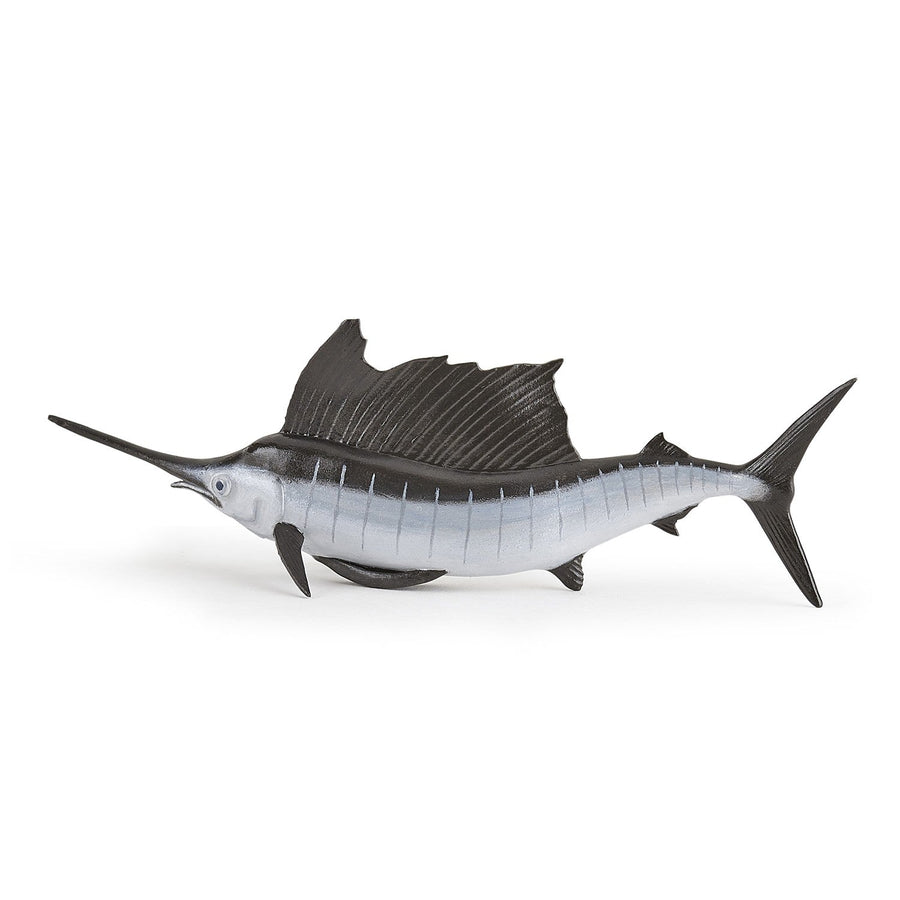 Sailfish