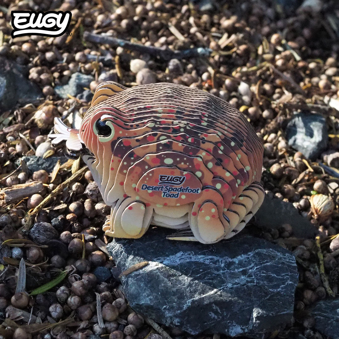 117 Desert Spadefoot Toad