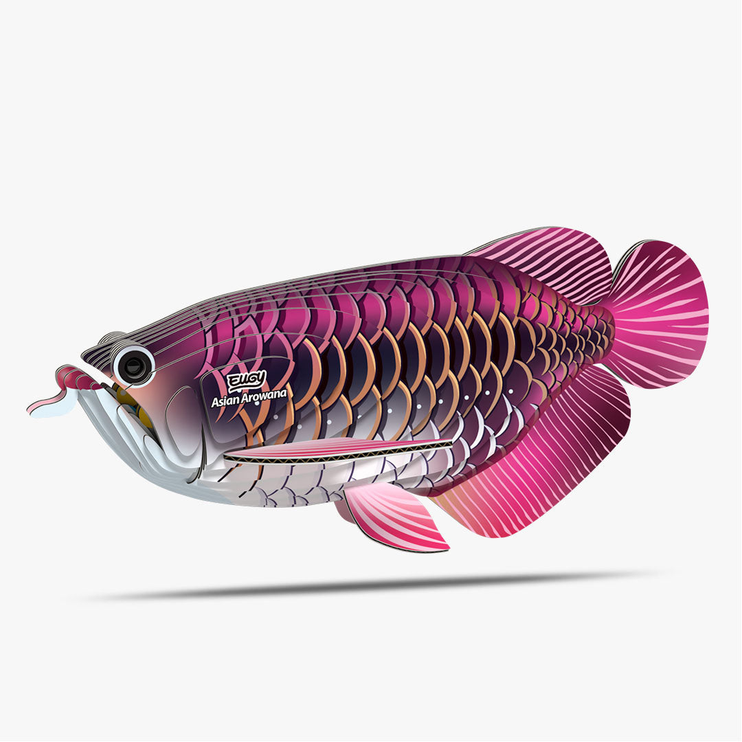 Maquette 3D EUGY 118 Poisson dragon – vue 1