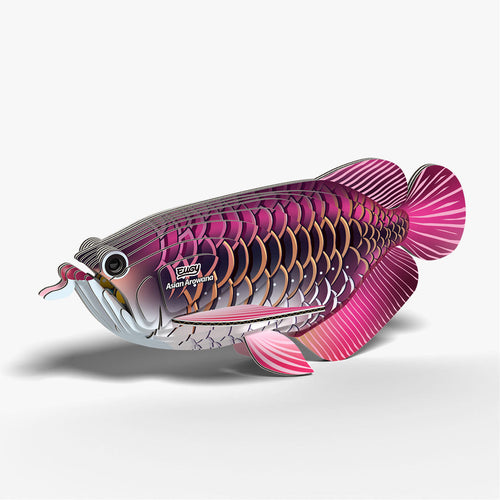 118 Poisson dragon