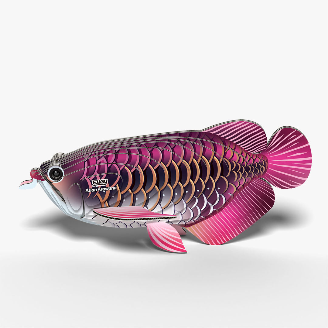 118 Asian Arowana