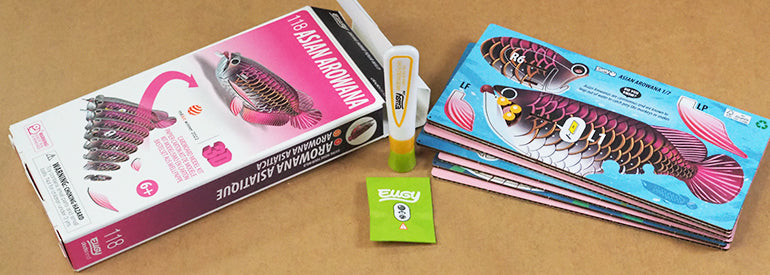 eugy 118 asian arowana