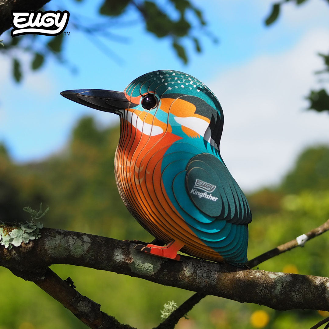 121 Kingfisher