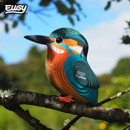 121 Kingfisher