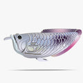 124 Zilveren arowana