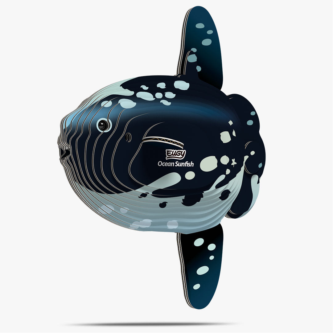 Maquette 3D EUGY 132 Poisson-lune – vue 1