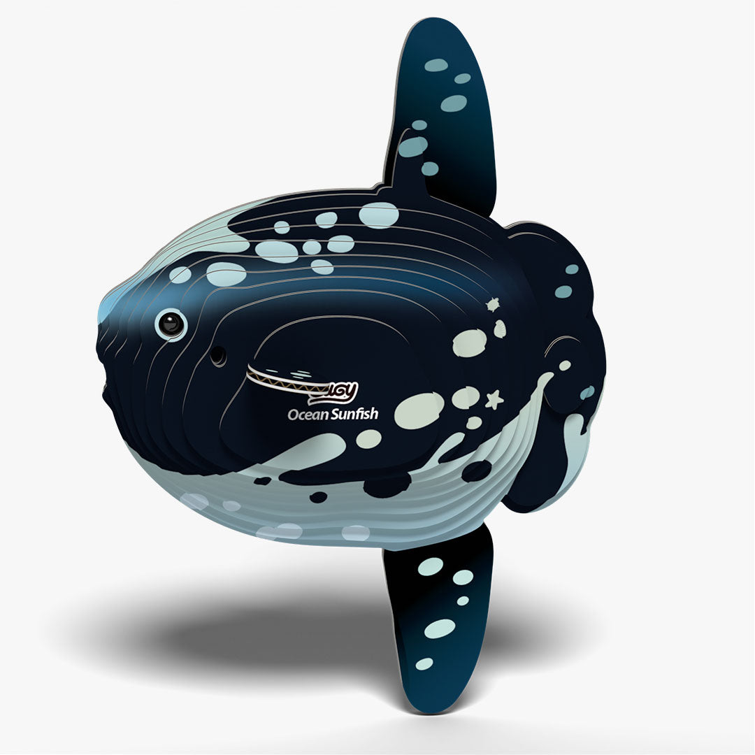 132 Ocean Sunfish