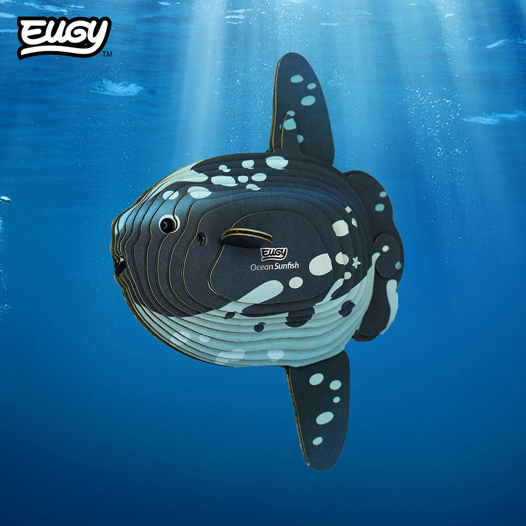 132 Ocean Sunfish