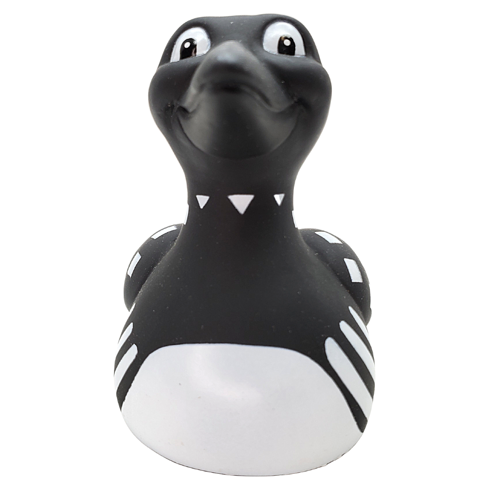 Canard Claire Le Huard