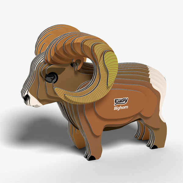 145 Mouflon des Rocheuses