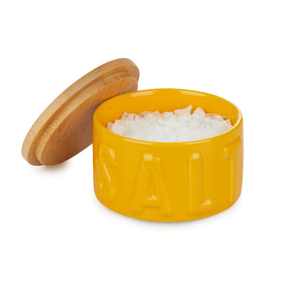 Salt Shaker