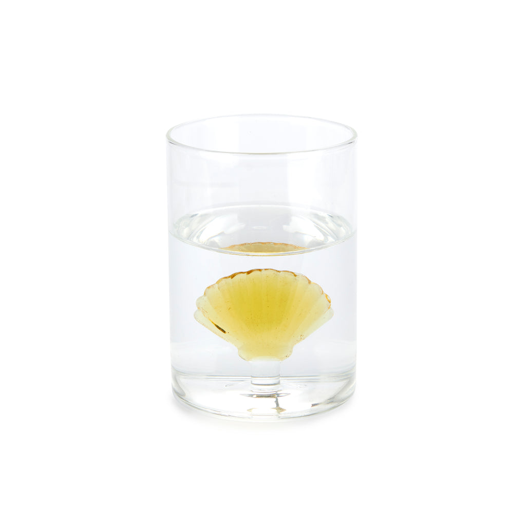 Atlantis Shell Drinking Glass