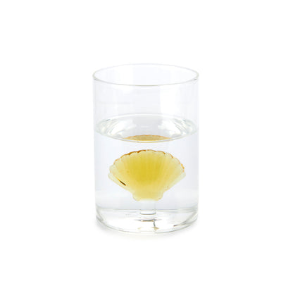 Atlantis Shell Drinking Glass