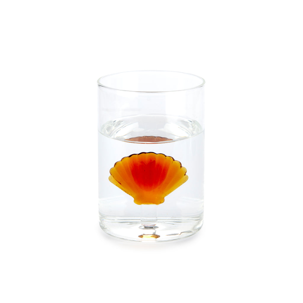 Atlantis Shell Drinking Glass
