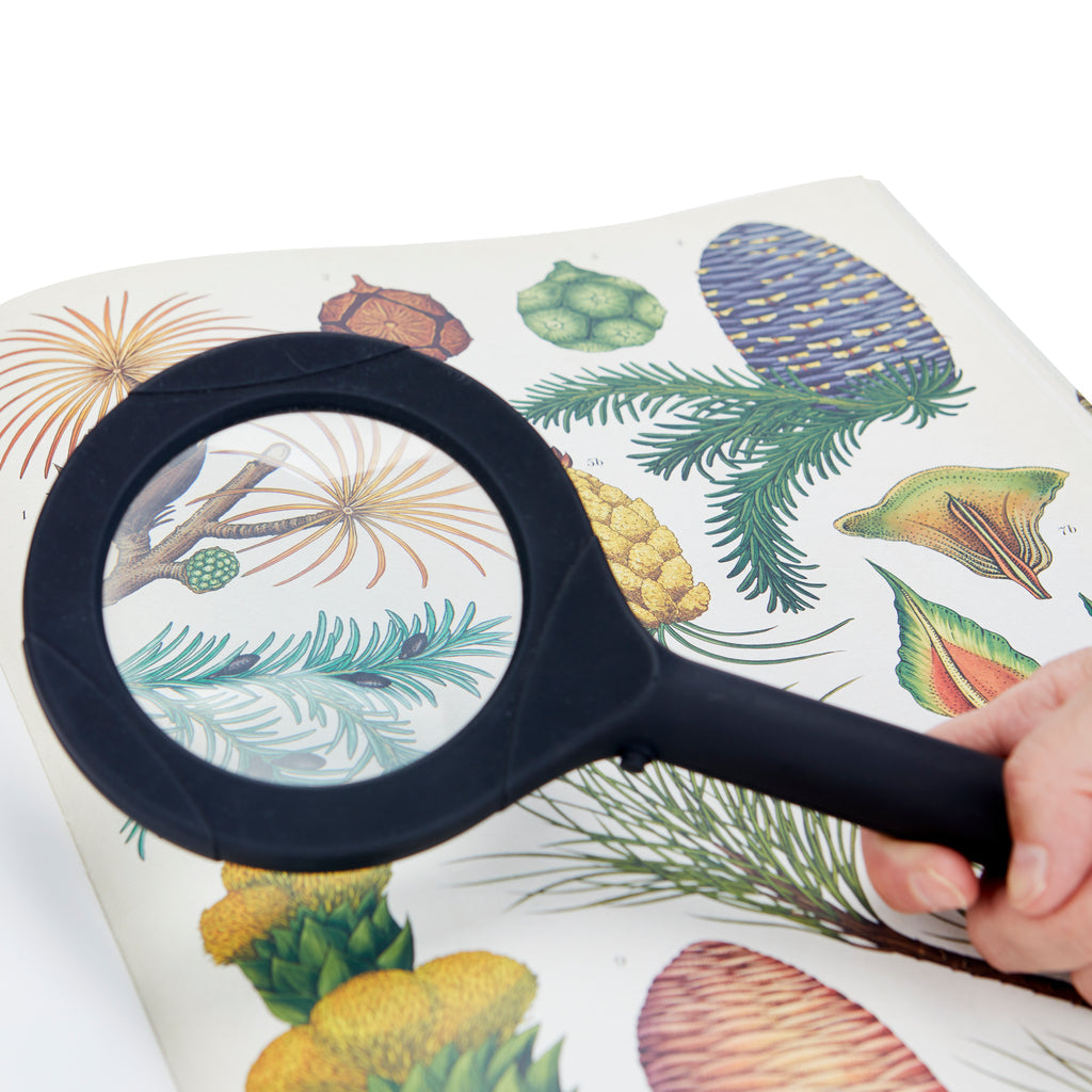 Magnifier Zoom