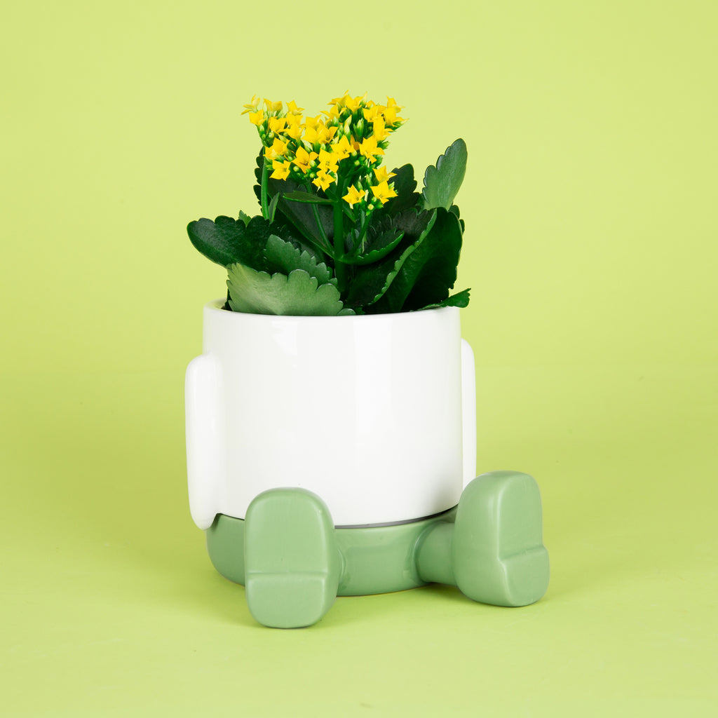 Pot de fleurs Mr. Sitty