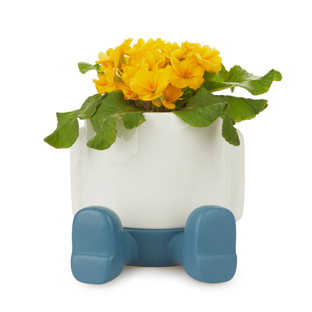 Pot de fleurs Mr. Sitty