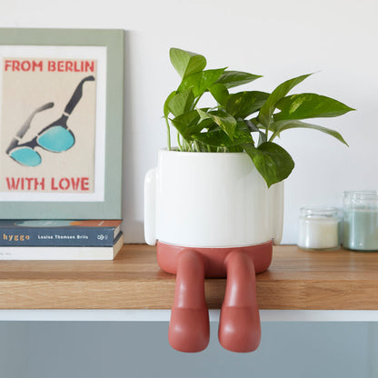 Mr. Dangly Plant Pot