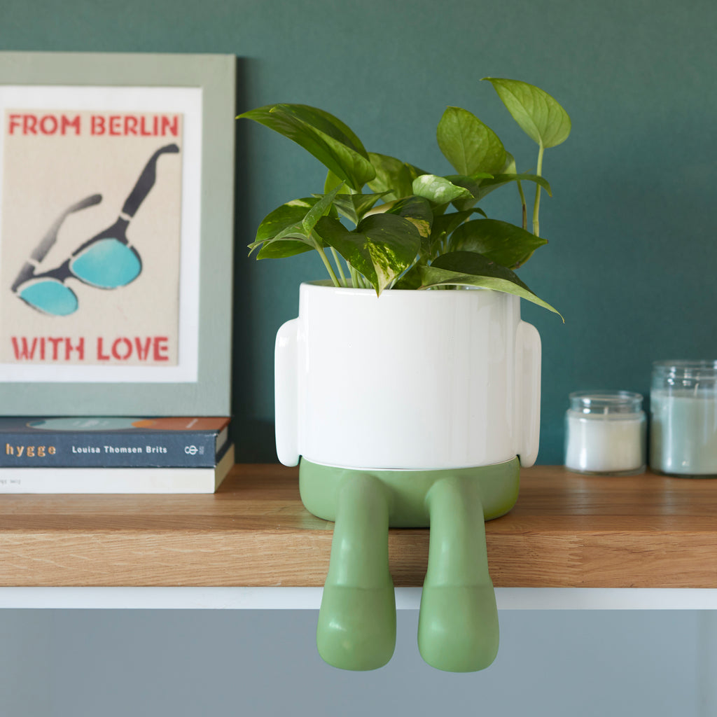 Mr. Dangly Plant Pot