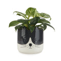 Pot de fleurs Kitty