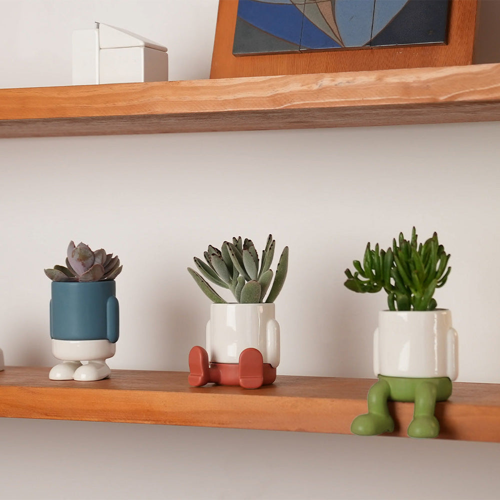 Mini pot de fleurs Mr. Standy