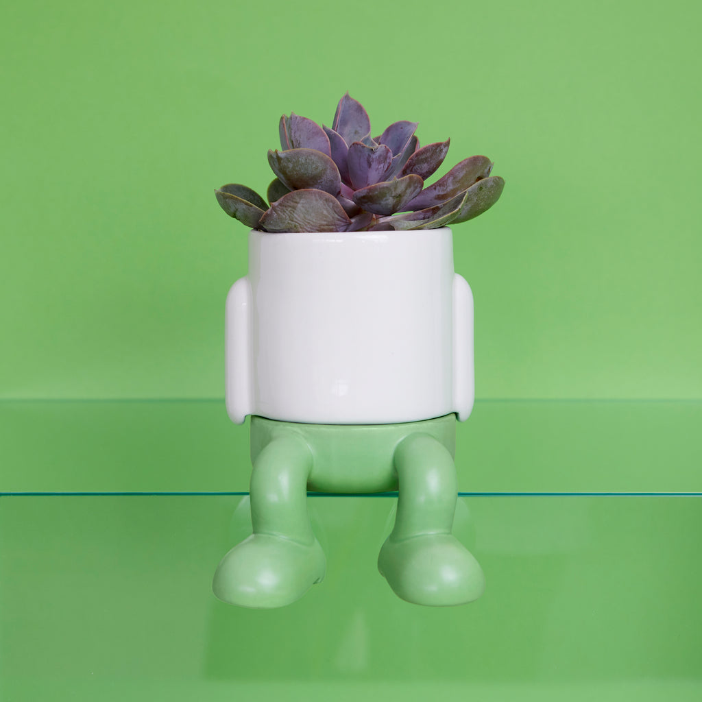 Pot de fleurs Mini Mr. Dangly