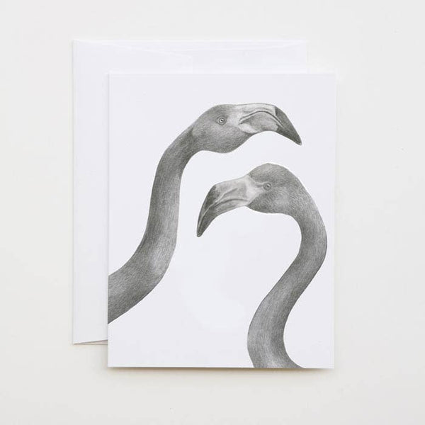 Iggy & Mags Hermano Carte à billets en camée de flamants flamants américains