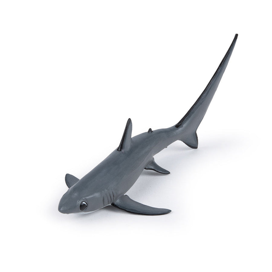Requin-renard