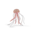 Medusa Figurine