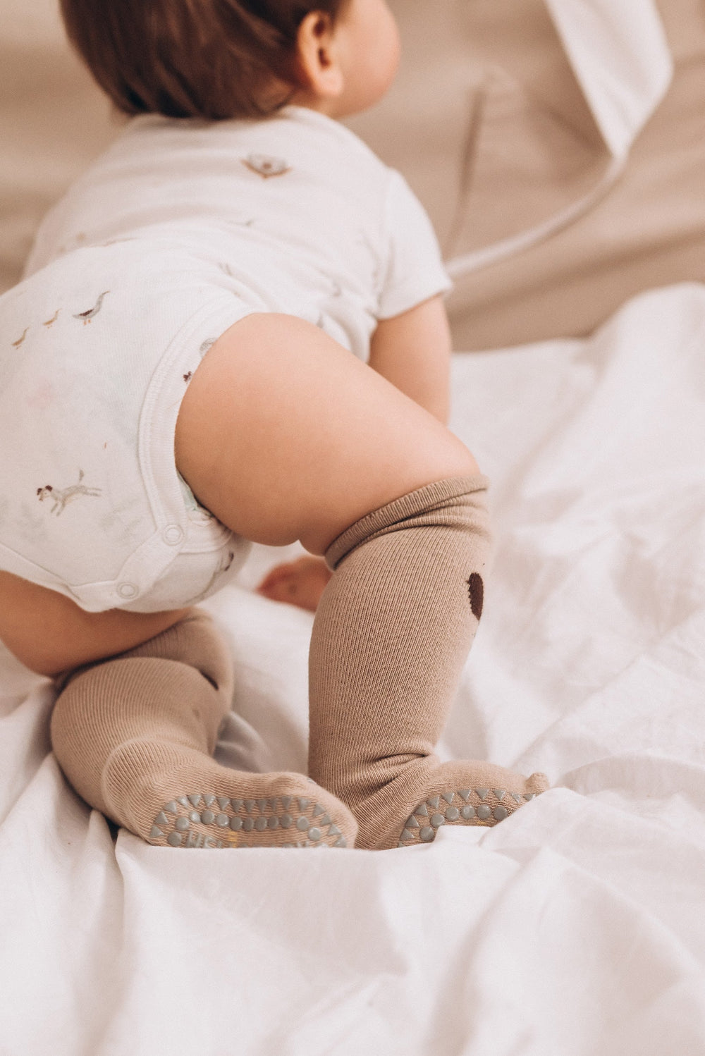 Crawling Buddies Socks